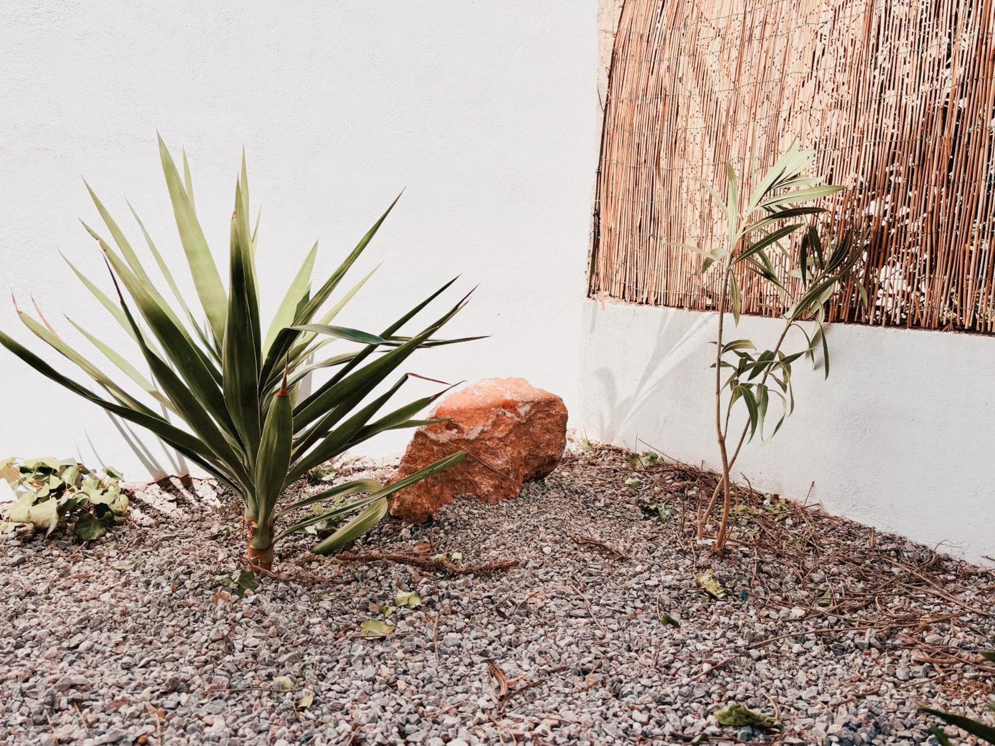 Appartement Avec Jardin Privatif A 300M De La Plage *2* Canet-en-Roussillon Eksteriør bilde